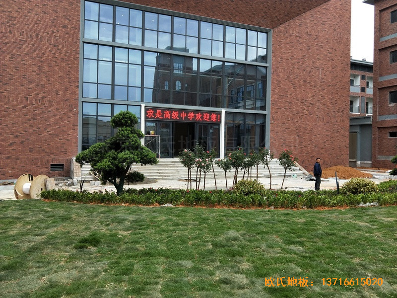 �������Ǹ��л@���^�\��ľ�ذ���O����0