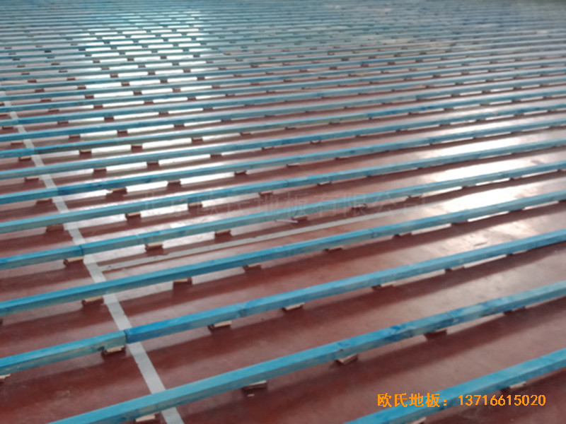 �ӱ������w���W(xu��)У�@���^�w��ľ�ذ���O(sh��)����1