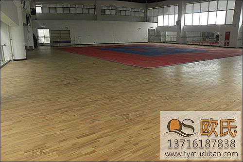 �w���\(y��n)��(d��ng)��(sh��)ľ�ذ�,�w����(sh��)ľ�ذ壬�w���\(y��n)��(d��ng)�ذ�