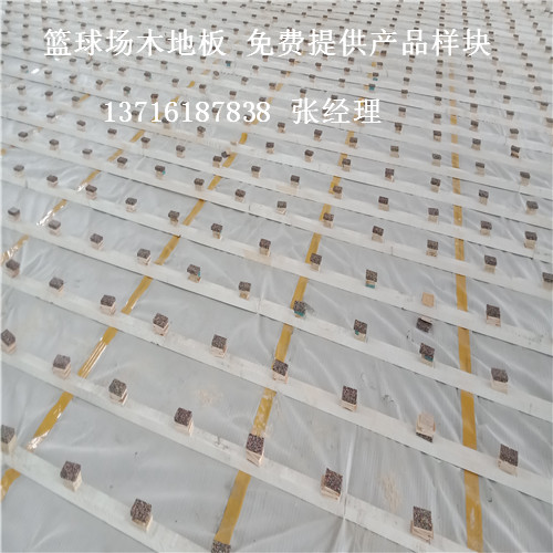 ɽ�|�@��?q��)�ľ�\(y��n)��(d��ng)�ذ�,ɽ�|�w���^�\(y��n)��(d��ng)�ذ�,ɽ�|�@���w��ľ�ذ�