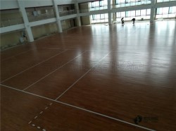 �����w���\(y��n)��(d��ng)ľ�ذ�h(hu��n)��