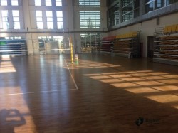 �@���w��ľ�ذ��Ă�(g��)���Ӻ�