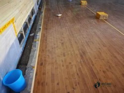 ���Ռ������_(t��i)�\(y��n)��(d��ng)��ľ�ذ��^�õ�