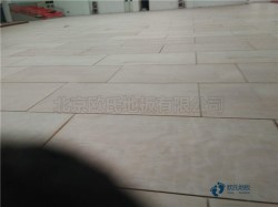 單龍骨體育場館木地板清潔保養(yǎng)