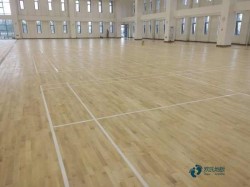 �߶˻@���\(y��n)��(d��ng)ľ�ذ���ô���B(y��ng)