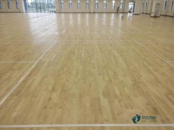 �@���\(y��n)��(d��ng)ľ�ذ����a(ch��n)��˾