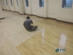 ��(sh��)ľ�\(y��n)��(d��ng)�ذ���α���