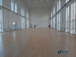 專業(yè)籃球場館木地板施工團隊